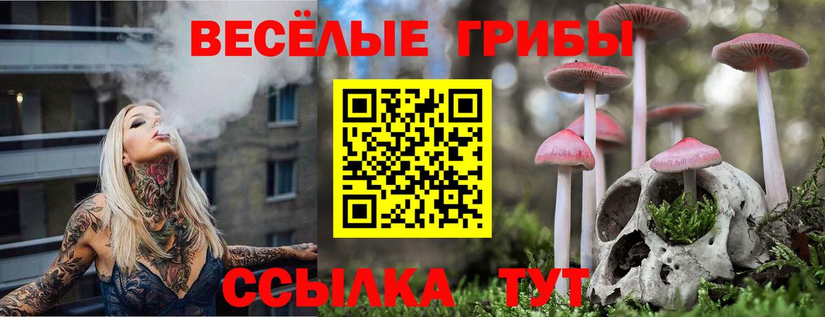 Галлюциногенные грибы Psilocybine cubensis  Вход с VPN  как найти закладки  Псилоцибиновые грибы мицелий  Карталы 